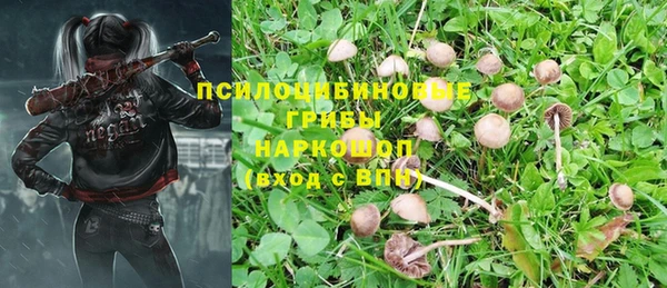 МДПВ Алзамай